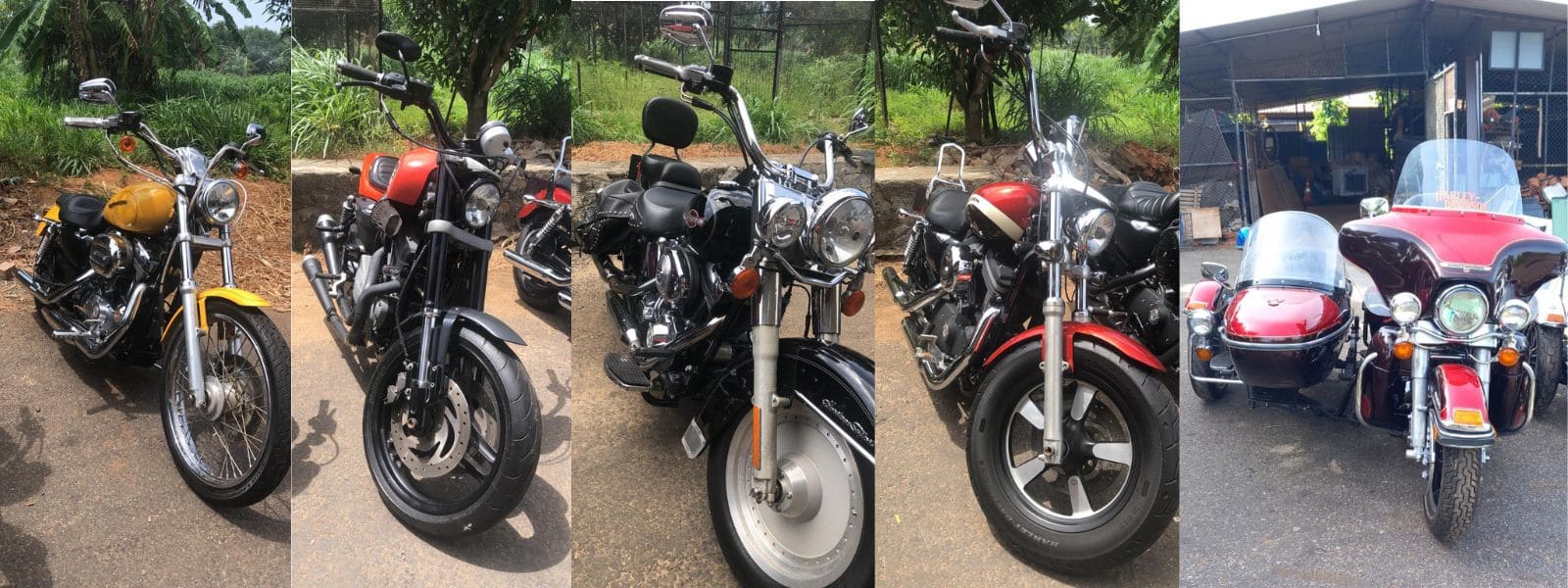 Police Hunt for Bird Park Owner Over Illegal Bikes